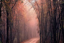 西甲-姆巴佩建功维尼修斯进球 皇家马德里2-1巴列卡诺.