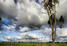 米兰体育:亚冬会:中国队包揽自由式滑雪女子空中技巧双人同步金银牌.