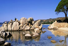 米兰体育:杜兰特伤退:冲突吃T+90度崴脚被搀扶离场 还需打3场才能评奖.